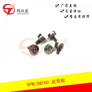 NPM/AM100皮帶輪N610127907AA